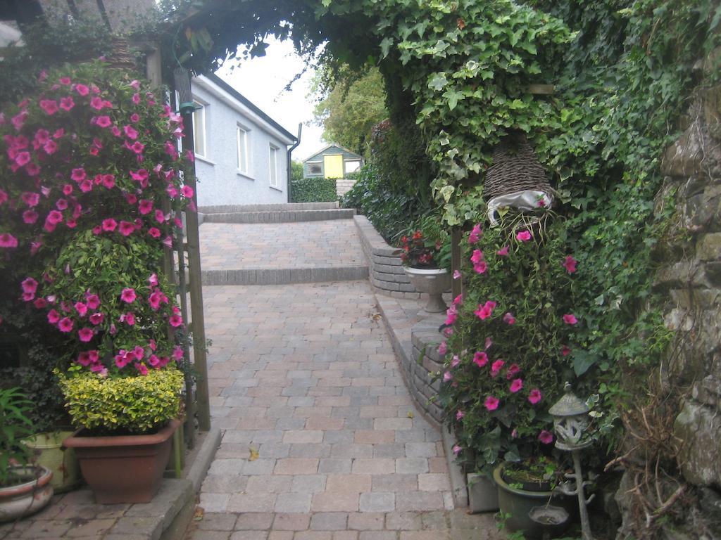 Ashleigh House Bed & Breakfast Monaghan Eksteriør bilde
